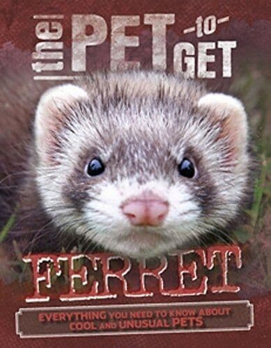 Ferret, Colson, Rob