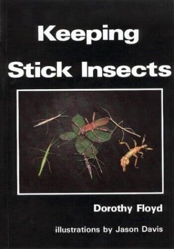 Keeping Stick Insects, Floyd, Dorothy