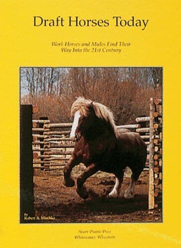 Draft Horses Today by Mischka, Robert