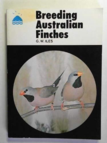 Breeding Australian Finches (Island S.), G.W. Iles