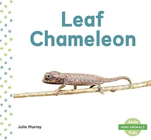 Leaf Chameleon (Mini Animals), Julie Murray