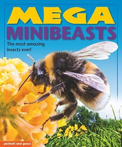 Mega Minibeasts (Mega s), Nina Filipek