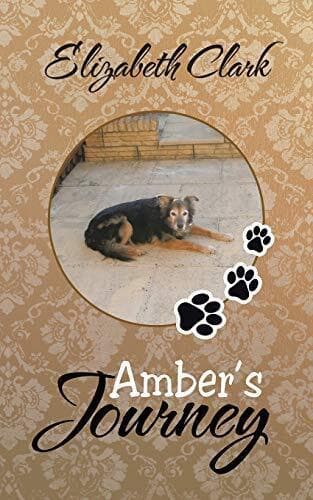 Amber’s Journey, Clark, Elizabeth