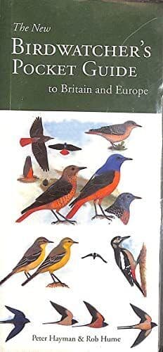 Birdwatcher by Rob Hume