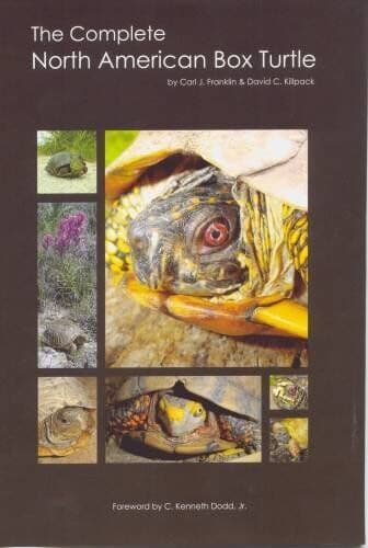 ECO Complete N. American Box Turtle