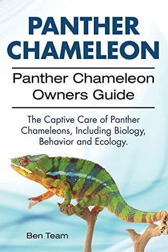 Panther Chameleon. Panther Chameleon Owne…, Team, Ben