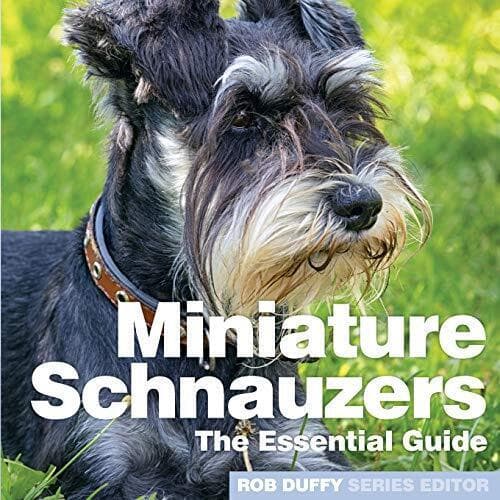 Miniture Schnauzers: Essential Guide