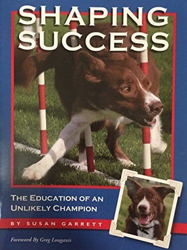 Shaping Success, Garrett, Susan
