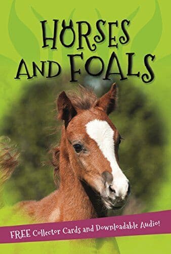It’s all about… Horses and Foals (It’s…, Kingfisher