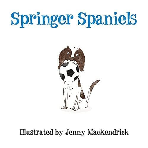 Springer Spaniels (Dogs), Jenny MacKendrick