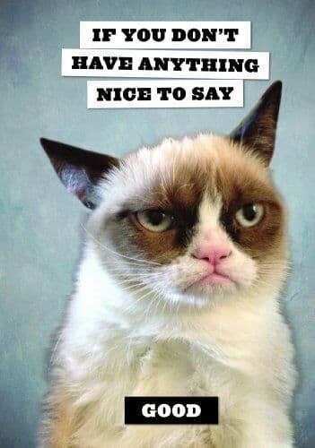 Grumpy Cat Flexi Journal, Chronicle s