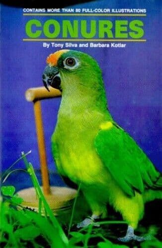 Conures, Kotlar, Barbara