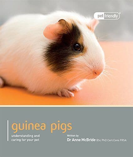 Guinea Pig - Pet Friendly: Understanding and Caring for Your … by Anne McBride