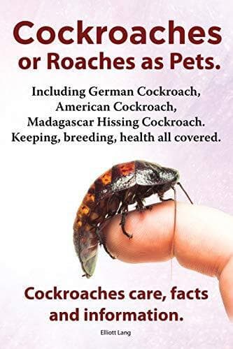 Cockroaches as Pets. Cockroaches Care…, Lang, Elliott