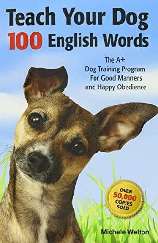 Teach Your Dog 100 English Words by Michele Welton