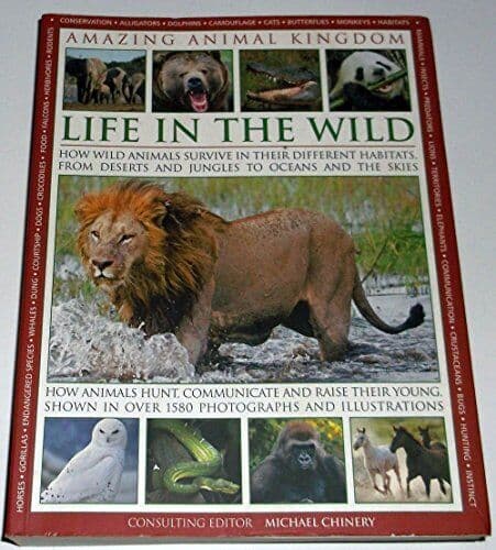 LIFE IN WILD