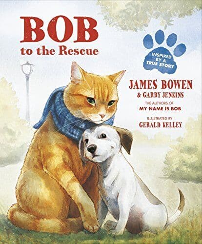 Bob to Rescue: An Illustrated Picture by Jenkins, Garry