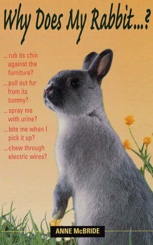 Why Does My Rabbit…?, Anne McBride