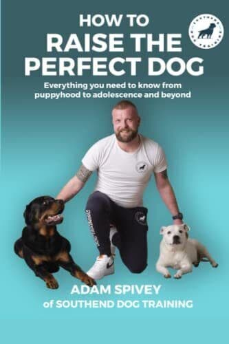 How To Raise Perfect Dog: Everyth…, Norfolk, Evan