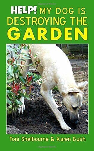 Help! My Dog is Destroying Garden, Bush, Karen