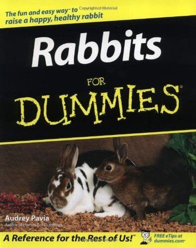 Rabbits for Dummies by Pavia, Audrey