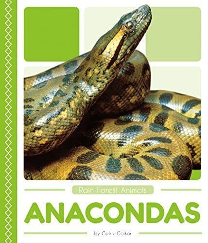 Anacondas, Golkar, Golriz