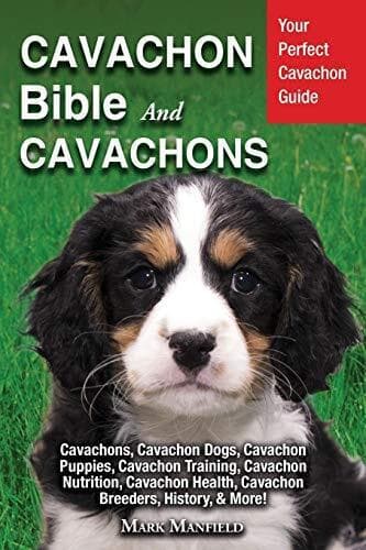 Cavachon Bible And Cavachons: Your P…, Manfield, Mark