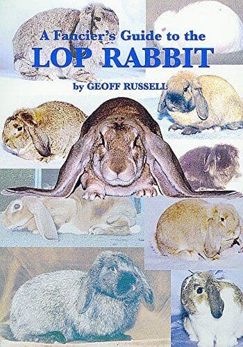 A Fancier’s Guide to Lop Rabbit, Russell, Geoff