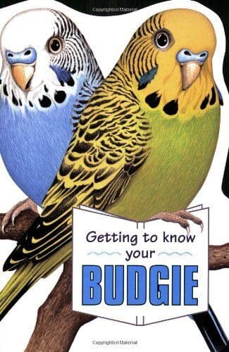 Getting to Know Your Budgie by Page, Gill