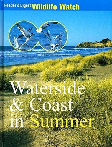 Waterside & Coast in Summer by Anonymus