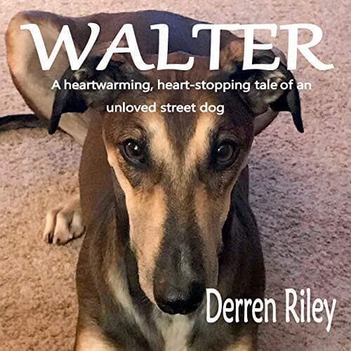Walter by Riley, Derren