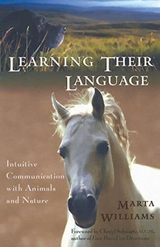 Learningir Language: Intuitive Communication … by Marta Williams