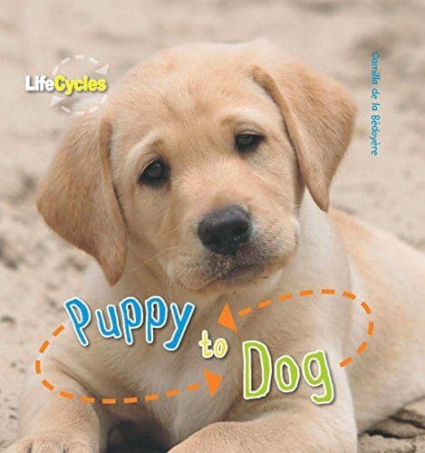 Life Cycles: Puppy to Dog by de le Bédoyère, Camilla