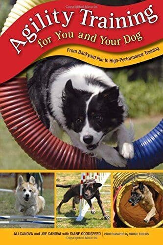 Agility Training for You and Your D…, Goodspeed, Dian