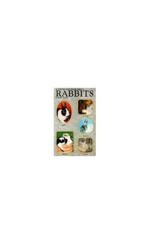 Step-by-step  About Rabbits, Barrie, Anmarie