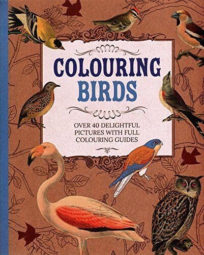 Colouring Birds