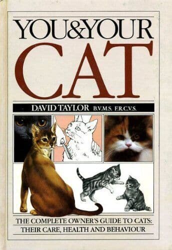 You & Your Cat. by david taylor
