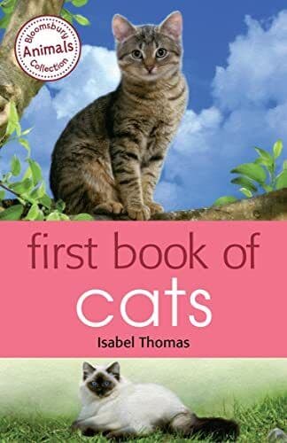 First of Cats by Thomas, Isabel