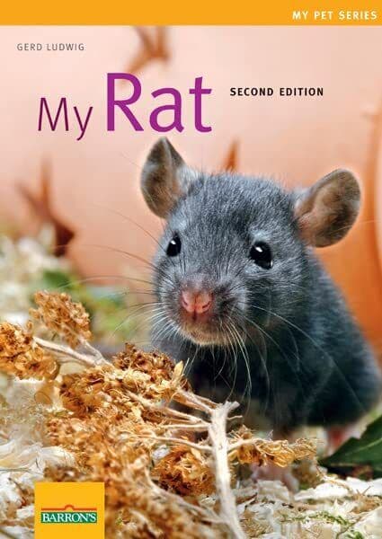 My Rat (My Pet) (My Pet (Barron’s)) (My Pet Series) by Gerd Ludwig