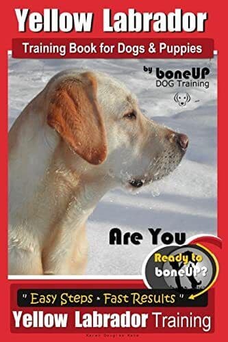 Yellow Labrador Training  for D…, Kane, Mrs Karen