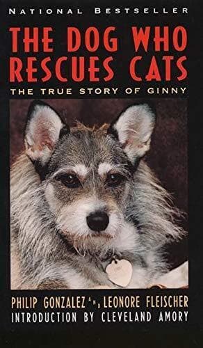 The Dog Who Rescues Cats: True Story o…, Fleischer, L