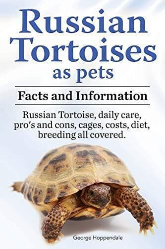 Russian Tortoises as Pets. Russian Tortoise: Facts and … by Hoppendale, George