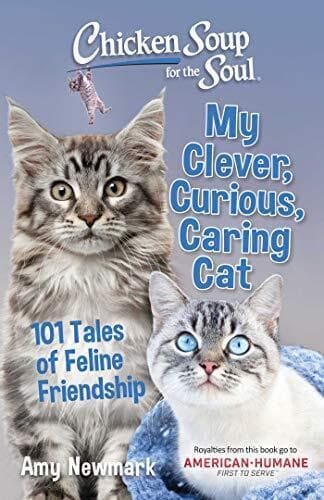 Chicken Soup for Soul: My Clever, …, Newmark, Amy