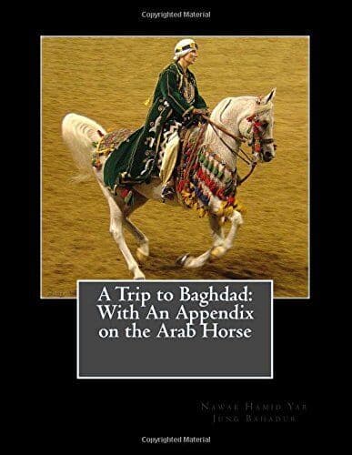A Trip to Baghdad: With An Appendix…, Bahadur, Nawab