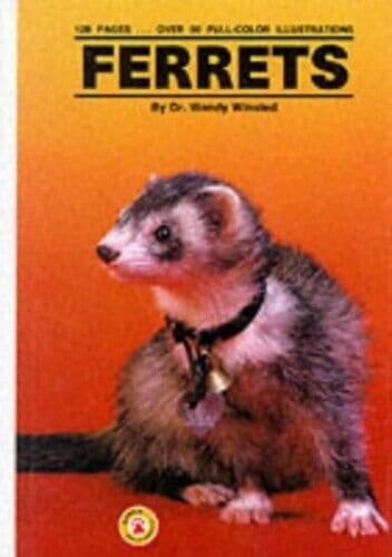 Ferrets by Winsted, Wendy