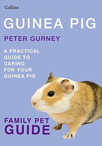 Guinea Pig (Collins Family Pet Guide) by Peter Gurney 0007436653