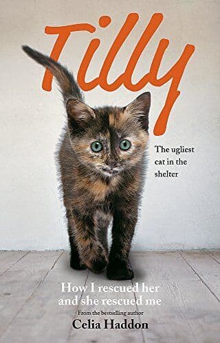 Tilly: Ugliest Cat: How I rescued her and she rescued me by Celia Haddon
