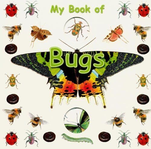 My of Bugs (Board ) by Valerie Davies