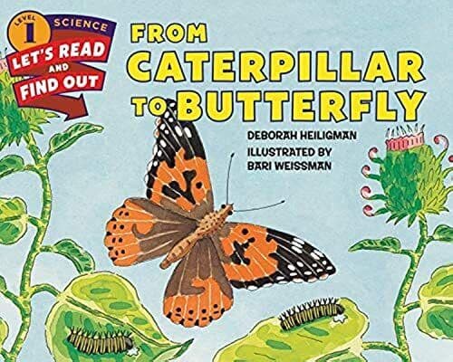 From Caterpillar to Butterfly (Let’s-Read-and-Find-Out … by Heiligman, Deborah