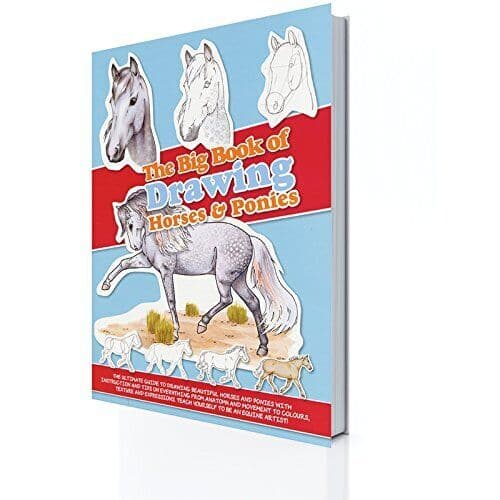 The Big  of Drawing Horses & Ponies
